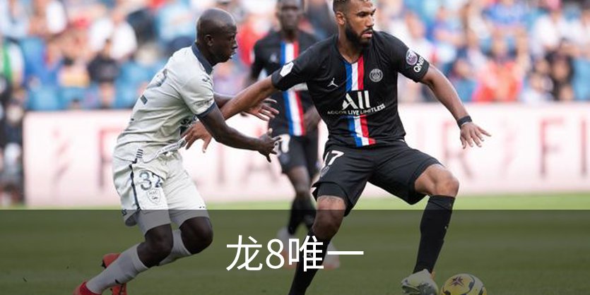 走进龙8唯一